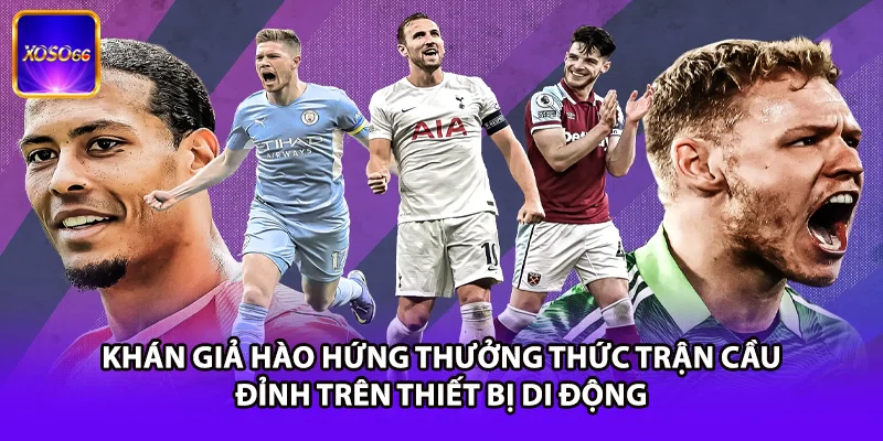 Khán giả hào hứng thưởng thức trận cầu đinh trên thiết bị di động