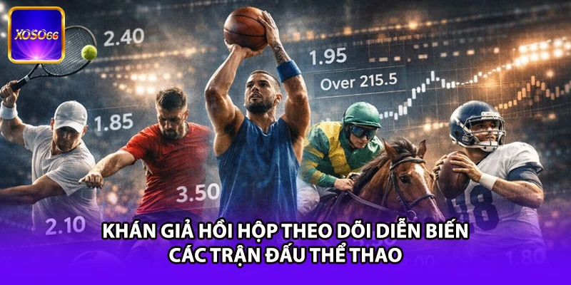 Khán giả hồi hộp theo dõi diễn biến các trận đấu thể thao