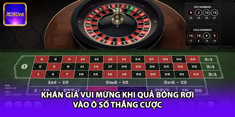 Khán giả vui mừng khi quả bóng rơi vào ô số thắng cược