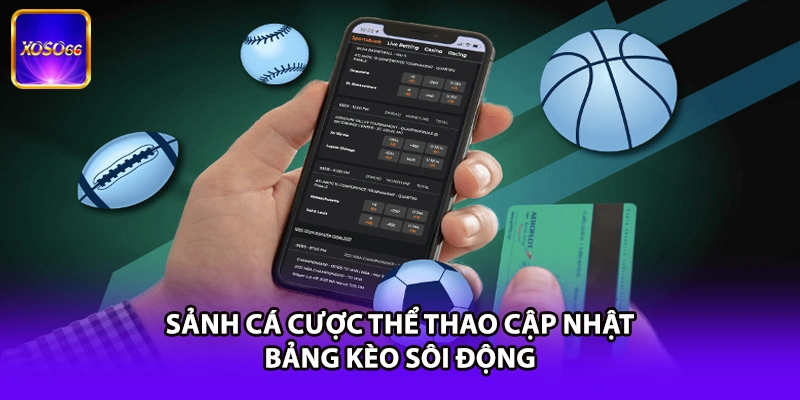 Sảnh cá cược thể thao cập nhật bảng kèo sôi động
