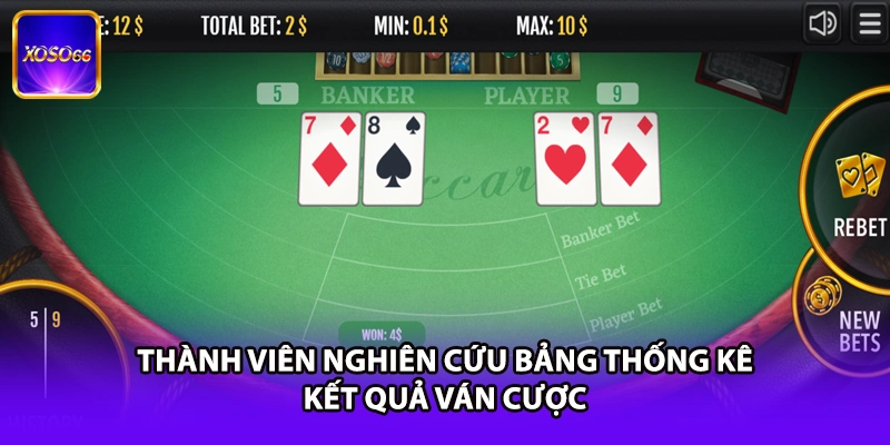 Thành viên nghiên cứu bảng thống kê kết quả ván cược
