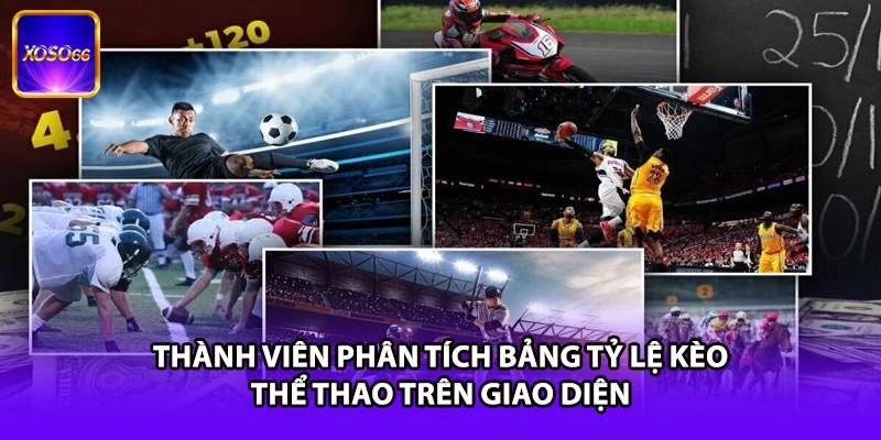 Thành viên phân tích bảng tỷ lệ kèo thể thao trên giao diện